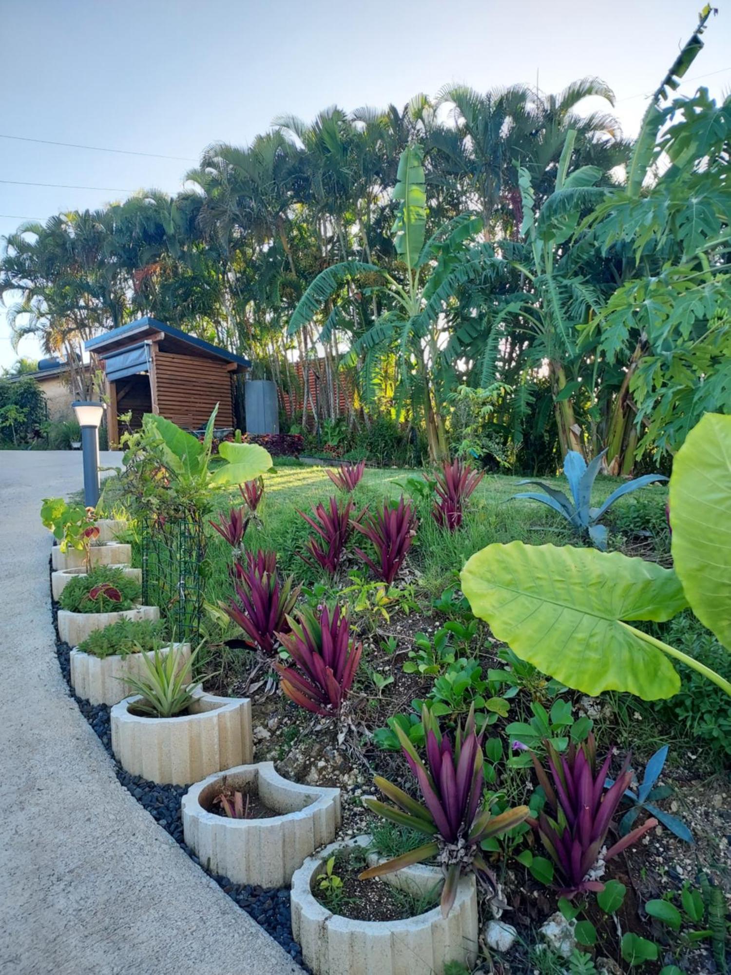 Le Petit Paradis Sainte-Rose Kültér fotó