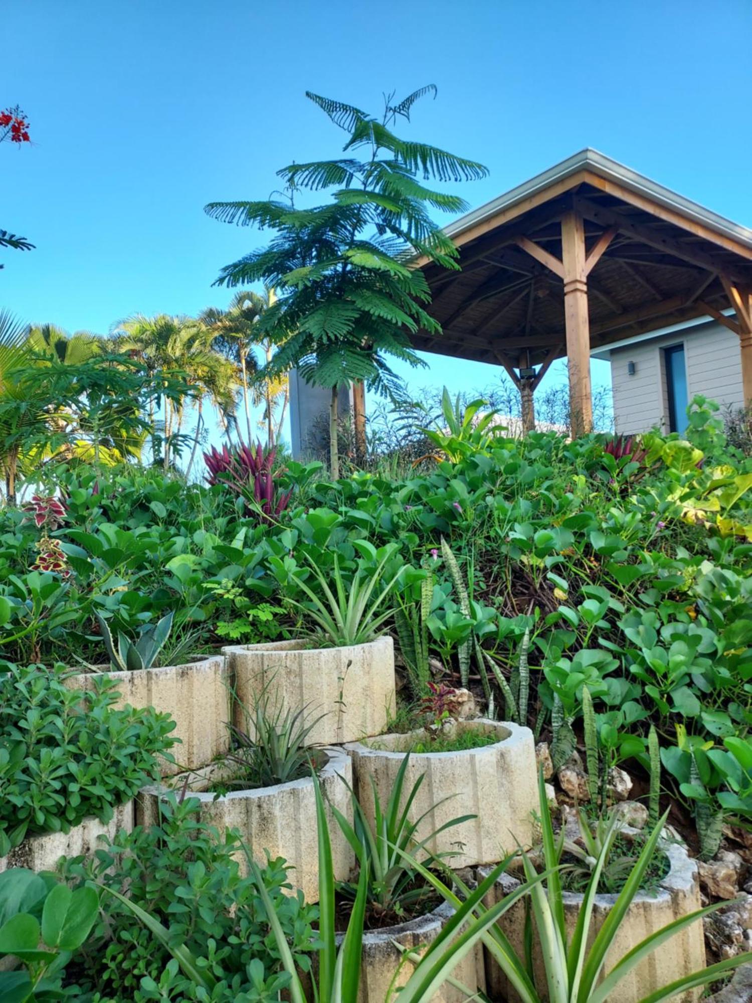 Le Petit Paradis Sainte-Rose Kültér fotó