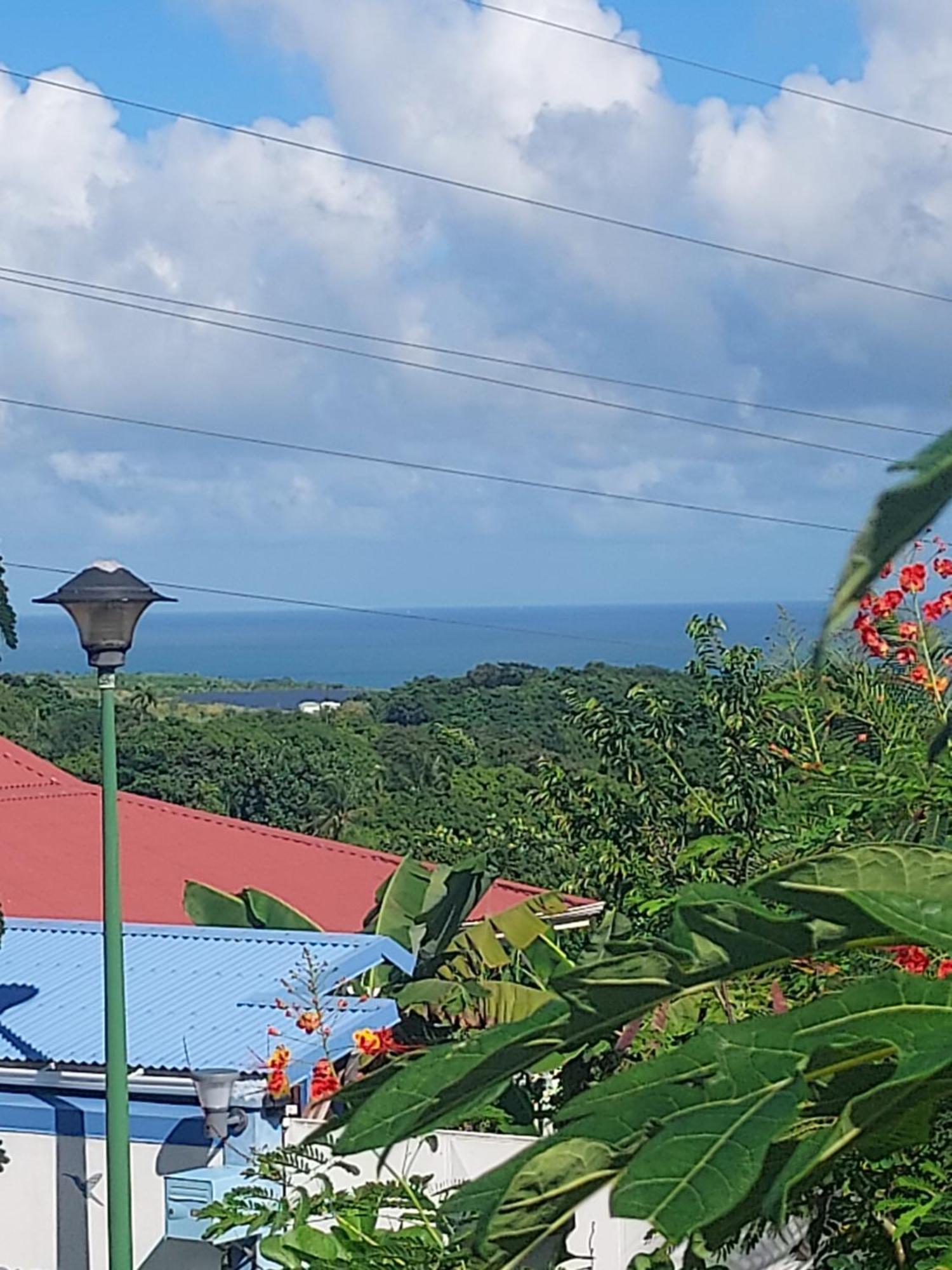 Le Petit Paradis Sainte-Rose Kültér fotó